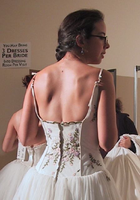 Bodice - Back